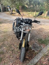 ducati 