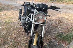 ducati 