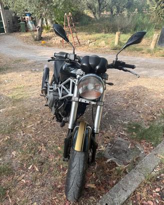 ducati 