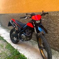 Beta Alp 200