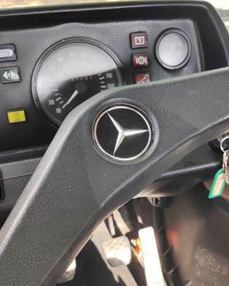 splendido Mercedes-Benz T 307 D ribaltabile