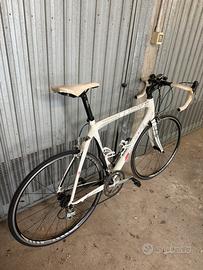 Bici da Corsa BluBike in Carbonio