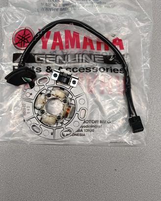 STATORE GENERATORE YAMAHA YZ 250