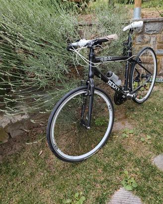 Citybike Scott 