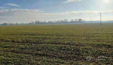 RGE 381/2023 Tribunale Verona - Lotto 8)