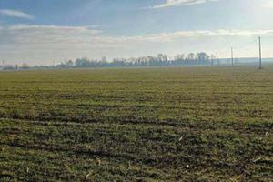 RGE 381/2023 Tribunale Verona - Lotto 8)