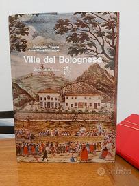 Ville del bolognese libro - Zanichelli -1969