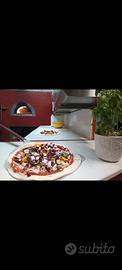 Forno pizza a legna professionale