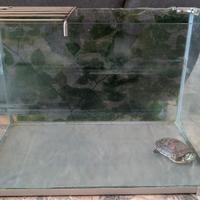 Acquario per tartarughe/pesci