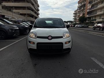 Fiat Panda 1.0 FireFly S&S Hybrid City Life LED PD