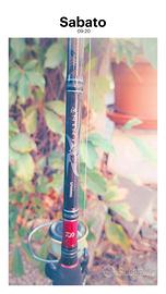 canna da pesca  daiwa