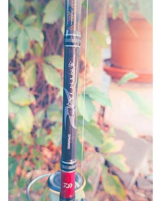 canna da pesca  daiwa