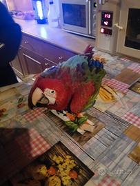 Pappagalli