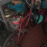 bmx  usata