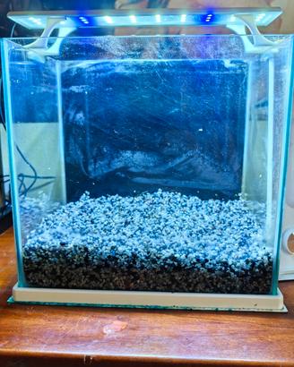 acquario 