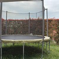 Trampolino elastico