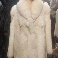 Volpe di Groenlandia 