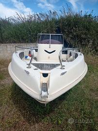 Beluga 550
