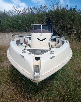 Beluga 550