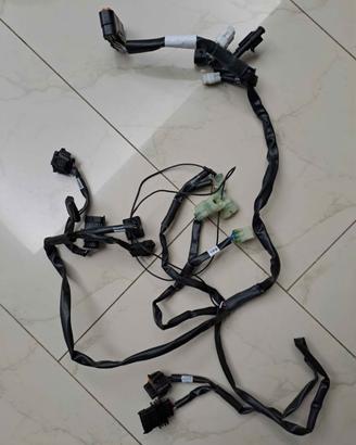 cablaggio rapid bike per ducati multistrada 