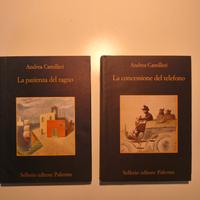 la pazienza del ragno , la concessione del telefon