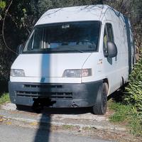 fiat ducato van