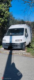 fiat ducato van