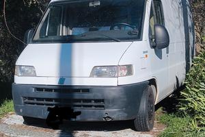 fiat ducato van