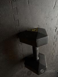 2 Manubri da 10 chili piu 1 da 7,5