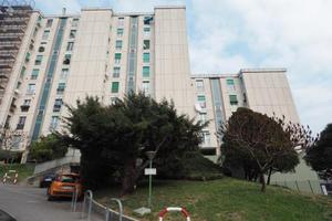 Rif.23571| appartamento monolocale