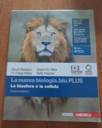 libro scolastico 