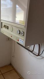 Caldaia a metano immergas zeus 21 iono