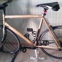 Bici telaio D'accordi con manubrio flat.