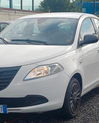 Lancia Ypsilon 1.2 69 CV 5 porte Elefantino