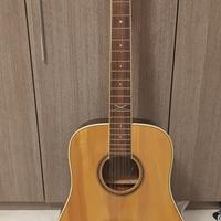 chitarra 12 corde