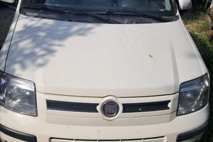 Fiat Panda 1.2 Dynamic Eco 2s serie 2010 bianca