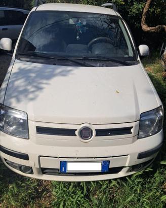 Fiat Panda 1.2 Dynamic Eco 2s serie 2010 bianca