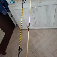 canna da pesca surfcasting