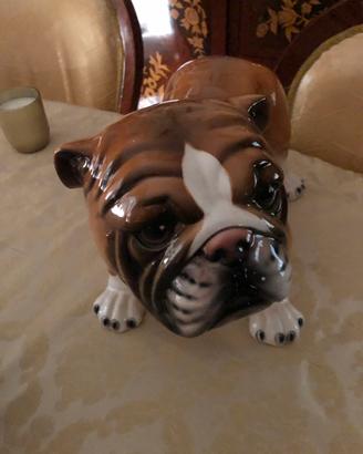 Bulldog strong ale statua veramica