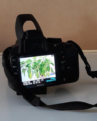 nikon d3100 