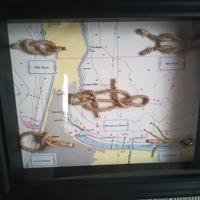 quadro nodi marinari