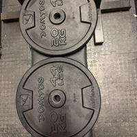 DISCHI IN GHISA 20kg