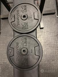 DISCHI IN GHISA 20kg