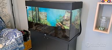 acquario 150 litri