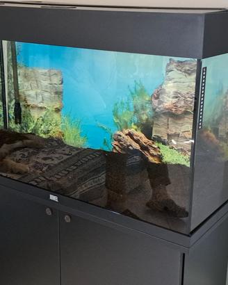 acquario 150 litri