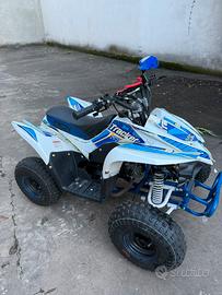 Quad Miniquad ATV 125cc, anno 2018