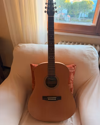 Chitarra Seagull S6