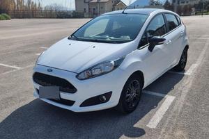 Ford fiesta black and white edition