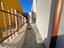 Immagine 16