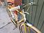 Immagine 3